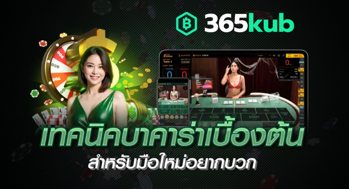 เทคนิคบาคาร่าเบื้องต้น สำหรับมือใหม่อยากบวก